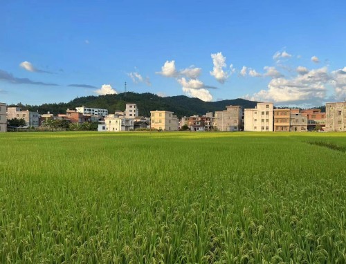 菲律宾VS关岛直播_菲律宾VS关岛菲律宾VS关岛免费直播在线直播 菲律宾VS关岛直播_菲律宾VS关岛菲律宾VS关岛免费直播在线直播
